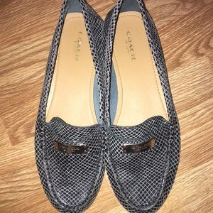 Coach Fredrica Snake Print Teal Driving Loafer